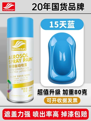 Avtomobil boyası – Matte Hand-Shaken Spray Paint Can - sky-blue-450mlbottle