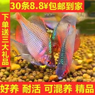 ���Q�~�^�p�~��ˮ�~ԭ���~�߲���Ƥ�~���w��ƤС�͵�ˮ�~���B