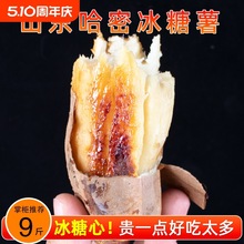 ɽ�|���ܱ��������r�����������ļt�������r���ԷNɳ�ط��ع�9��