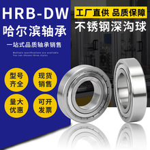 HRB-DWPSS6000 S6001 S6002 S6003-2Z 2RSˮP|