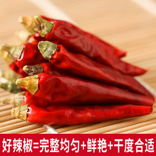 �Ĵ��خa���콷�����������μt������������t�͝������{�����l