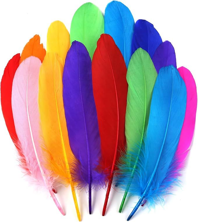 Fabricantes lotes plumas de ganso blanco natural plumas DIY artesanías accesorios de ropa de boda accesorios de decoración artesanal image 24