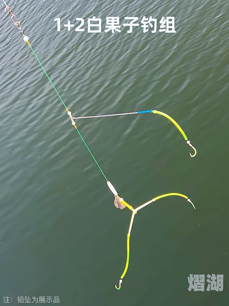 Luminous White Bait Fishing Rig for Night Fishing with Hooks for Boat Fishing, Targeting Yellow Croaker, Yellow Croaker, and Yellow Croaker Fish, with Anti-Tangle Fishing Line