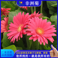 ޾ջNļ׷N׻_ͥԺͺл^ܷN