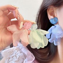 �ȼ��L-2024�¿�������|�߼��к����L��ˇ�o�������A���Ķ��