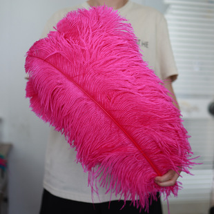 ���lõ�tɫ�r�Bë15-75cm ��c�廨����������؟���ë�����b�