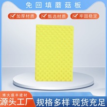 �S�ҹ���Ģ����ůģ�K��ůĢ�����ʽ�����͵�ů�����Ģ����