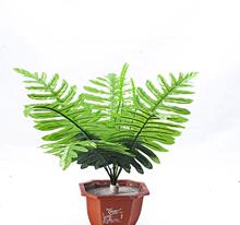 �ܲ� / �h�� TPE TPR �w�� tpe��PE  ע�ܼ�/ ���zԭ��