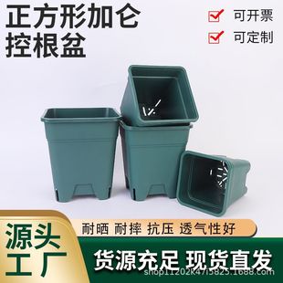 �ӹ����� �����Ӂ�����ظ�����S�����l ���طNֲ���¼����ϻ���