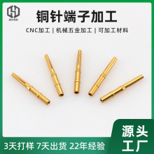 IB~僽pin ղ^ᘼӹIB