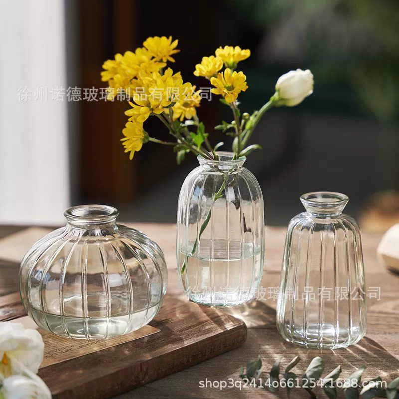 Скандинавские ветры минималистский стеклянная ваза маленькая бутылка ароматерапии воды цветы сушеные цветы оптом ваза столешница украшения