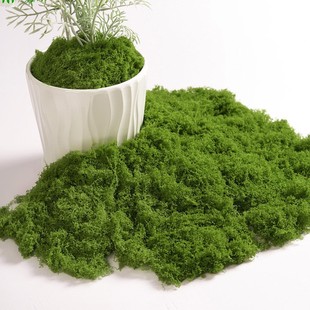 ����̦�\�쾰����̦ë����Ƥ�Gֲ΢���^ֲ���b����������ƺʯ�^