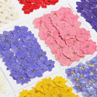 �ɻ�����100Ƭ�زİ� �w�໨ǧ�B���滨ֲ��˱�DIY����