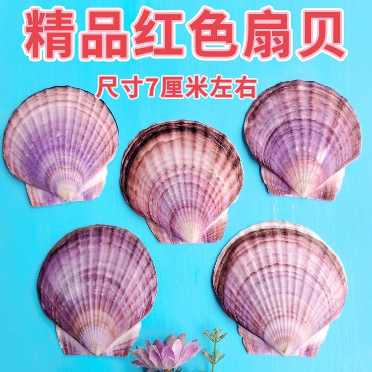 MEITU_20250420_121446397