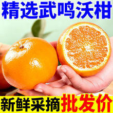 ��a��-�V�����Q�ָ̬Fժ�������rˮ�����ڸ�ɽ�ָ�����10�����l