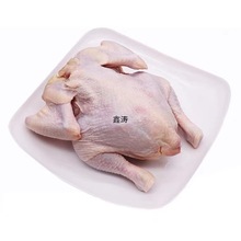 西装鸡商用20只包邮炸鸡半成品脆皮童子鸡单只烤鸡全鸡冷冻西装鸡