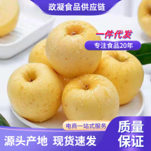 ɽ�|�S�{˹�O�� ���l5�����r�����S�O���ЋDˮ���������O��