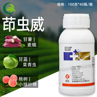 �S������15%���x����Сʳ���x���v���~�������x�rș���x��