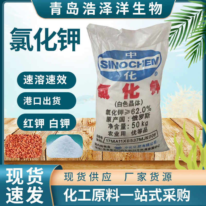 供应氯化钾农用钾肥白晶钾红色大颗粒钾水产养殖农业种植氯化钾