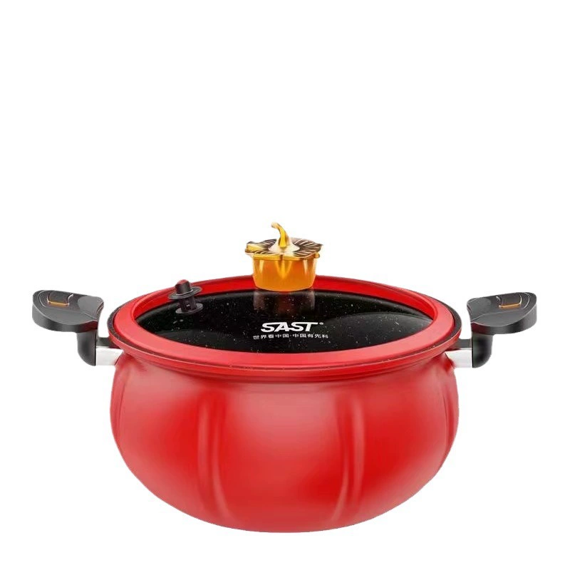 SAST Xianke Flame Red Micro Pressure Cooker 28м Multifunctional Stew Pot Household Soup Pot Gift Pot Exhibition and Sales Event Wholesale