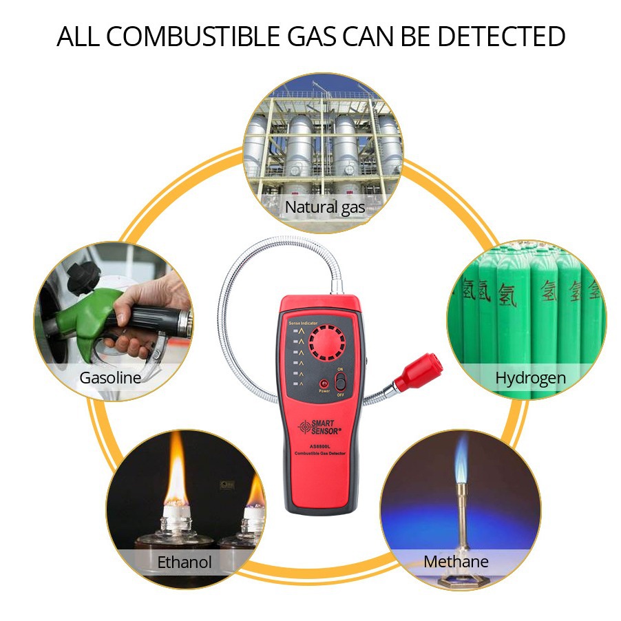 Detector portátil modelo AS8800L (versión en inglés)