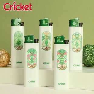 ���Cricket������Cһ���Ի�݆��ʯ���C����С���·N��
