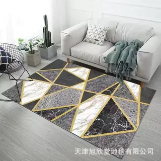 跨境客厅大地毯沙发茶几地垫脚垫金色轻奢商用地毯厂家可贴标代发