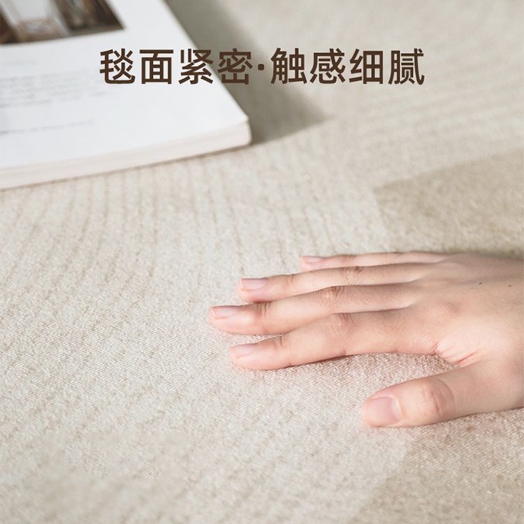 프랑스 카펫 거실 먼지 방지 및 관리가 쉬운 고급 커피 테이블 매트 가볍고 럭셔리하고 심플하고 멋진 미끄럼 방지 매트