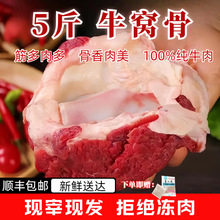 ţrţCǎtţ^ţϥwɹţ