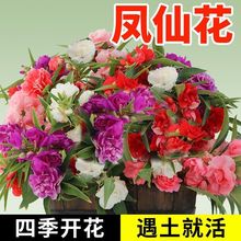 �ذ��P�ɻ��N�����ļ����N�_���҃����ָ̨�׻�������̫ꖻ��N��