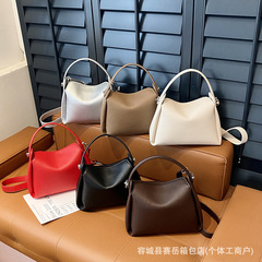 手拎小包包女式2025新款潮单肩斜挎包轻奢小众高级感饭盒包水桶包
