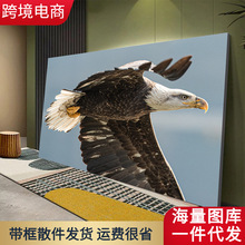 跨境外贸热销翱翔雄鹰无框画帆布装饰画客厅墙壁挂画一件代发3151