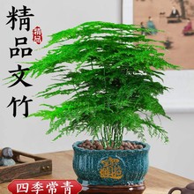 ���������҃��辰�ش�̖�ͺ��ļ��Gֲ�ﻨ���쾰�Ϙ���լ�k���҃�