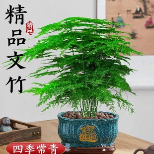 ���������҃��辰�ش�̖�ͺ��ļ��Gֲ�ﻨ���쾰�Ϙ���լ�k���҃�