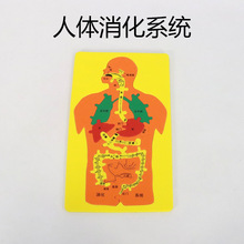 ���w����ϵ�yEVA�ֹ�ƴ�D���ϰ��Ƽ�С����diy����ƌW�̾�