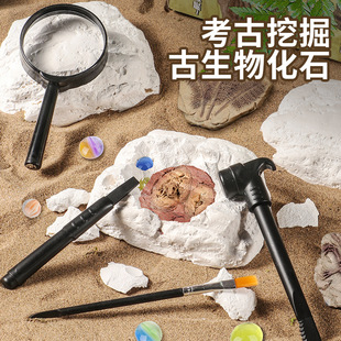 �羳��ͯ���ǿƽ̿�������ھ�����������ʯ̽�،����J֪�����B