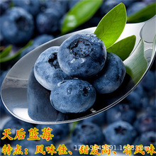 {ݮ玧{ݮϱNֲԵ{ݮ䮔Y