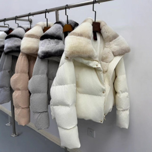 2025�����¿�߼��Z�q����Ů��ë�I��ů�����q�����ךW؛