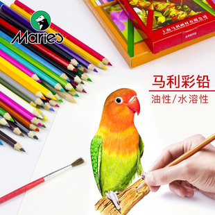 �R��12ɫ18ɫ24ɫ��ɫ�U�P���W�߲��U�P���I�L������ˮ������ɫ�P