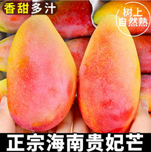 �F��â������â�����r10ˮ�������������Fժ�t��������â�o