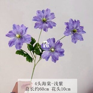 �¿��c���滨4�^���Ļ���Y�ò����廨�b��̈�·�����ĵ��߻�