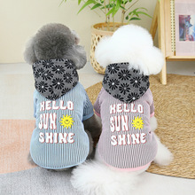 ӽqů·СȮﶬӺ̩Ϸzlɫֻñ