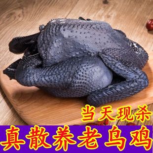 3只老乌鸡活鸡现杀土鸡散养农村农家乌鸡整只乌骨鸡胸肉鸡腿-阿里巴巴