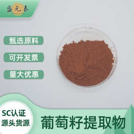 葡萄籽原花青素95%葡萄籽提取物OPC花青素盛元泰生物包邮量大从优