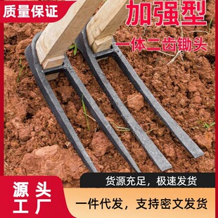 Agricultural Hoe All-Steel Long-Led Two-Teeth Hoe Dual-Use Digging to Open up Land and Cultivate Vegetables to Cultivate Land Farming Tools Two-Teeth Rake