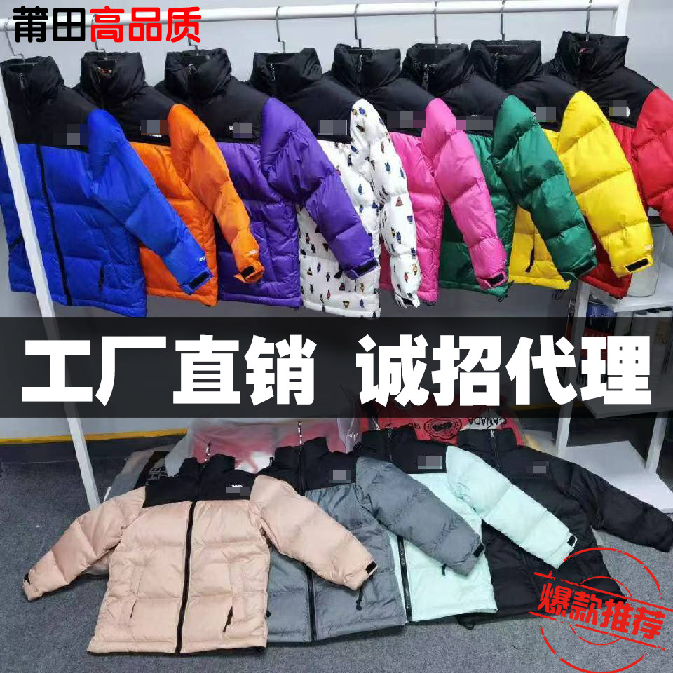 North 1996 Children's down Jacket Parent-Child Outfit American Version 700 Fill Power Embroidered Unisex Medium and Large Children's Puffer Jacket