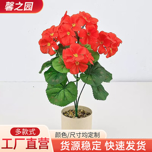 �F؛���R�d���Ļ����Է��滨�[����Y�zӰ�[�����ÿ��辰�bS��