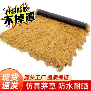 ����é������������ϵ��ݾ��^��ͤ�b�������̺����ë�����