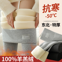 特厚羊羔绒螺纹打底裤女冬季新款加绒加厚外穿高腰保暖裤东北棉裤