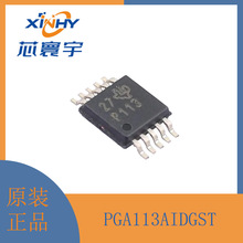PGA113AIDGST Ư 100μVʧ{늉 ɾŴ MSOP-10